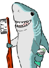 shark and toothbrush